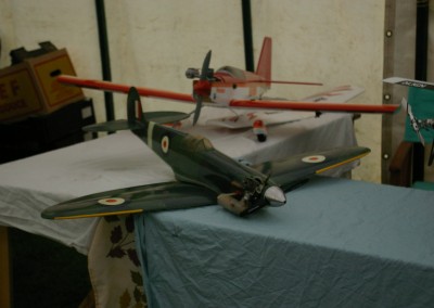 Sandwell Show 2016